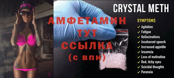 гидра Вяземский