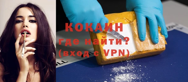 гидра Вяземский