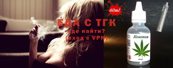 гидра Вяземский