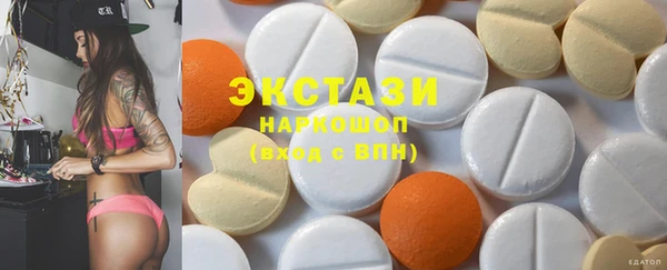 гидра Вяземский
