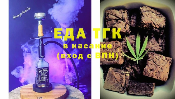 гидра Вяземский