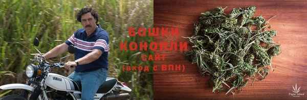 гидра Вяземский