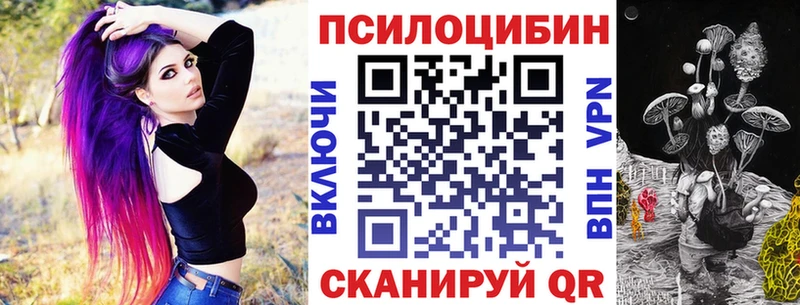 blacksprut ссылка  Звенигово  Галлюциногенные грибы MAGIC MUSHROOMS  купить наркотики сайты 